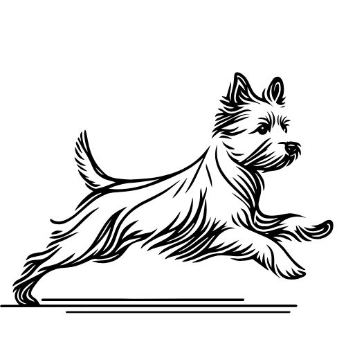 Stevie's Professional Dog Training